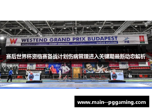 赛后世界杯资格赛备战计划伤病管理进入关键期最新动态解析