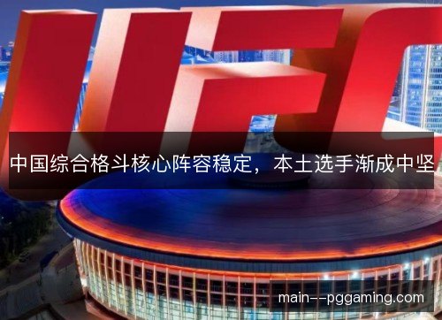 中国综合格斗核心阵容稳定,本土选手渐成中坚 中国综合格斗核心阵容稳定,本土选手渐成中坚